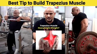 Best Tip to Build Trapezius Muscle  Best exercises for Trapezius Muscle youtubevideos [upl. by Adnertal]