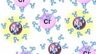 ذوبان كلوريد الصوديوم في الماء 2 [upl. by Hestia]