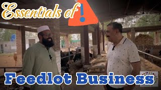 Essentials of Feedlot Business बछड़ा फार्म وچھا فارم [upl. by Enirehtak]