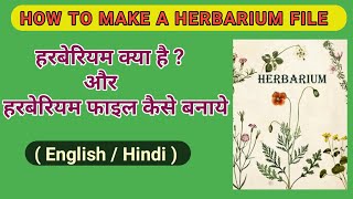 हरबेरियम फाइल कैसे बनाये  how to make herbarium fileHerbarium Sheet [upl. by Eniluqcaj]