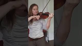 Violine 5Unterricht Saitenebenen Hausaufgabenvideo [upl. by Volnay]