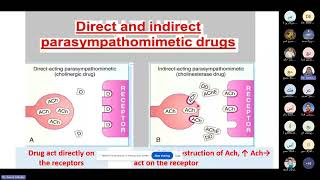 Parasympathomimetics Medicine [upl. by Raynell]