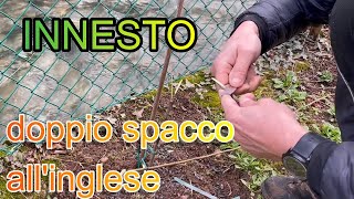 Innesto melo Doppio spacco allinglese [upl. by Orman]