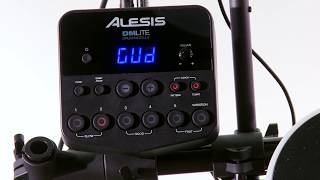 Alesis DM Lite Kit Module Overview [upl. by Husch]