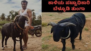 ಕಾಳಿ ಕೊಣ್ಣೂರು ಕಣದಿಂದ ವಾಪಸು ಬಂದಿದ್ದಕ್ಕೆ ಇಷ್ಟೊಂದು ನೆಗೆಟಿವ್ ಟ್ರೋಲ್ ಮಾಡು ಅವಶ್ಯಕತೆ ಇಲ್ಲ [upl. by Ratcliff]