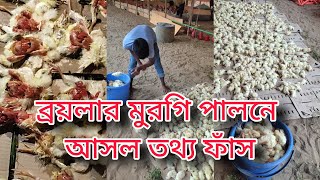 ব্রয়লার মুরগি পালনে আসল তথ্য ফাঁস 2024  polti murgi farm business 2024quot উদ্যোক্তার পরামর্শ [upl. by Lehcor]