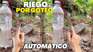 Sistema de Riego Automático por Goteo 💧 Casero para hidratar plantas árboles Frutales 🍀☘ [upl. by Baerl]