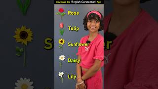 Types of Flowers🌻 Kids English Words  Adi Keshari Connection shorts [upl. by Benni172]