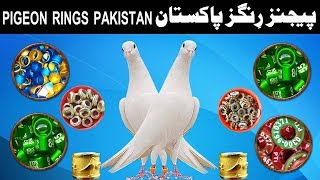 Pigeon Rings Pakistan [upl. by Cohby204]