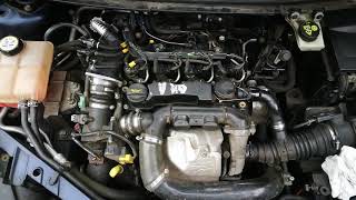 Engine noise Ford Focus 16 TDCI [upl. by Aicella438]