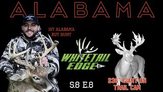 Alabama RUT HUNT and 230 inch MONSTER BUCK on TRAIL CAM [upl. by Dwane]