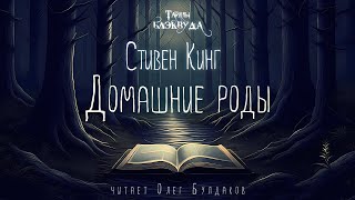 Кладбище домашних животныхСтивен КингАудиокнига [upl. by Gracie42]