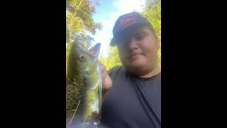 Catching pink salmon in kagawong manitoulin island [upl. by Francois]