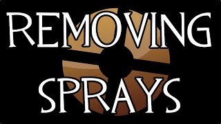 How to Remove Sprays in TF2 [upl. by Wadsworth270]