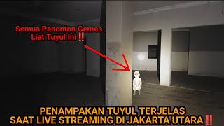 SIAPA YANG NGGA GEMES LIAT TUYUL BEGINI‼️RUMAH PESUGIHAN ULAR JAKARTA UTARA [upl. by Adnalra]