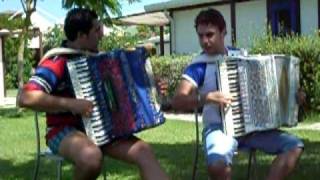 Florette  Waltz Valse Musette  Accordion Duet M° Ruffolo amp FabrizioLichiarenz Accordeon [upl. by Akalam716]