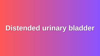 Distended urinary bladder [upl. by Nnayelhsa244]