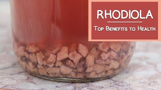 What is Rhodiola Top Health Benefits [upl. by Gerrald]