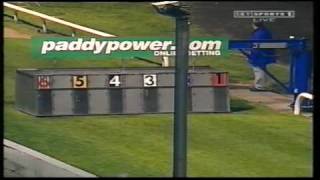 Irish Greyhound Derby 2000 [upl. by Binette272]