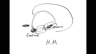 EN Brain Basics Hippocampal anatomy [upl. by Retha]