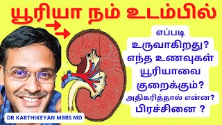 கட்டாயம் உடலுக்கு யூரியா குறித்து உங்களுக்கு தெரியவேண்டியவை  what is the function of urea [upl. by Sky]