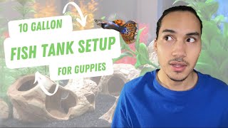 10 Gallon Fish Tank Setup for Guppies [upl. by Thormora]