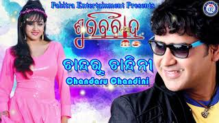 Chandaru Chandini  Odia Movie Song  Subha Bibaha  UditNarayan Ollywood [upl. by Sheilah479]