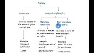 What are allowances and perquisites [upl. by Iolanthe]