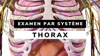 Introduction à lexamen du THORAX Système RESPIRATOIRE et CARDIAQUE [upl. by Oicneserc]