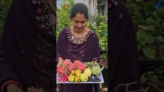 Fruits harvesting custardapple fruits mygarden harvesting gardening shortvideo ytshorts [upl. by Immaj615]