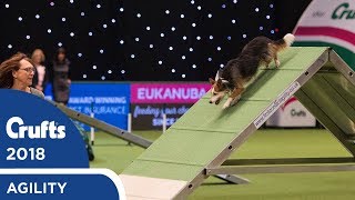 Agility  Championship Final  Crufts 2018 [upl. by Timon63]