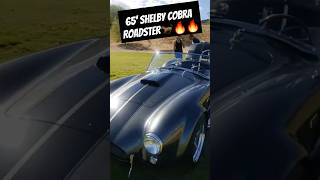 65 SHELBY COBRA 427 shorts shelby [upl. by Shoshanna]