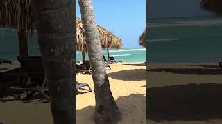 My vacation at Secrets Tides Punta Cana review [upl. by Maura]