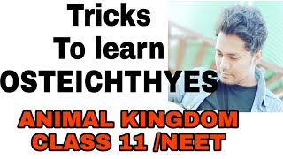 Tricks to learn examples of class OSTEICHTHYES ANIMAL KINGDOM CLASS 11 [upl. by Jorgenson]