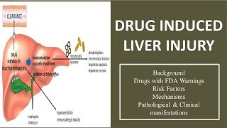 DRUG INDUCED LIVER INJURY Hepatotoxicity causative agents mechanisms and pathology 🏥 [upl. by Adda]