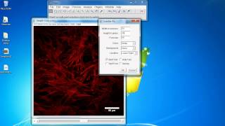 ImageJ Tutorial How to add scale bar [upl. by Langille]