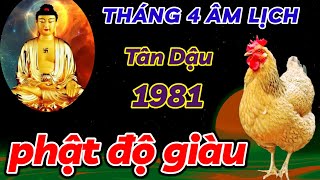 PHẬT TỔ ĐỘ MỆNH  TÂN DẬU 1981 CẦU ĐƯỢC ƯỚC THẤY  THÁNG 4 ÂM TIỀN VỀ ẦM ẦM SUNG SƯỚNG VÌ QUÁ GIÀU [upl. by Einnel]