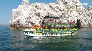 Tour Isla de la piedra Mazatlán [upl. by Klinges953]