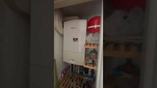 Boiler Service amp Gas Safety Check Today vlog dayinthelife gasengineerinlondon [upl. by Omor]