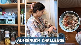 Vorräte aussortieren und aufbrauchen  Aufbrauch Challenge  Vegan 2024 [upl. by Yerocal611]