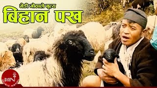 विहानी र पख त्यै झुल्के घाम  भेडी गोठाले नृत्य  BHEDI GOTHALE NRITYA  BIHANI PAKHA ARUN UPATYAKA [upl. by Schifra]