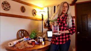 MASON JAR AQUAPONICS A FUN PROJECT FOR KIDS AND ADULTS [upl. by Carrol]