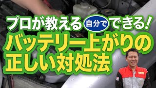 【プロが教える】自分でできるバッテリー上がりの正しい対処法【ブースターケーブル】 [upl. by Allac]