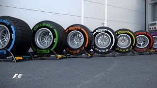 F1 Explained Beginners Guide To Tyres [upl. by Yoko]