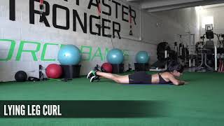 Lying Leg Curl w Mini Loop Resistance Band Workout Demonstration Video [upl. by Shanda849]