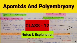 Apomixis and polyembryony class 12 Sexual reproduction in flowering plants  Apomixis and its types [upl. by Eekaz468]