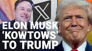 ‘Kowtowing’ Elon Musk should ‘grill’ Trump in their interview tonight [upl. by Aikram661]