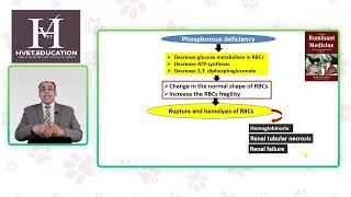 Hypophosphatemia causes and pathogenesis [upl. by Airdnax]