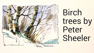 Draw and paint Birch trees in watercolour by Peter Sheeler Simple and quick using a Waterbrush [upl. by Croft848]