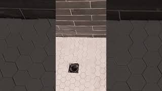 Instalación de tile porcelana [upl. by Nodnal116]